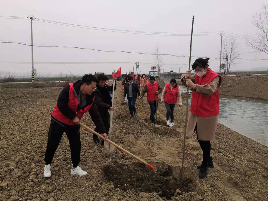 石湖乡新时代文明实践所开展学雷锋义务植树活动