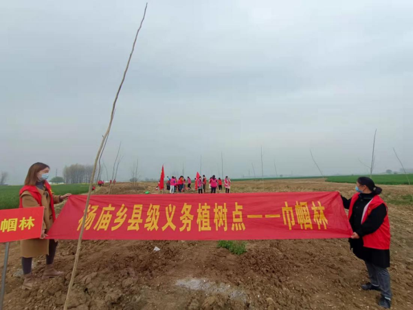 杨庙乡美丽庭院创建再添生态美_固镇县人民政府